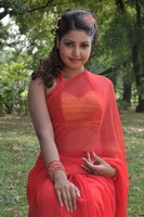 Mona Saree Photos